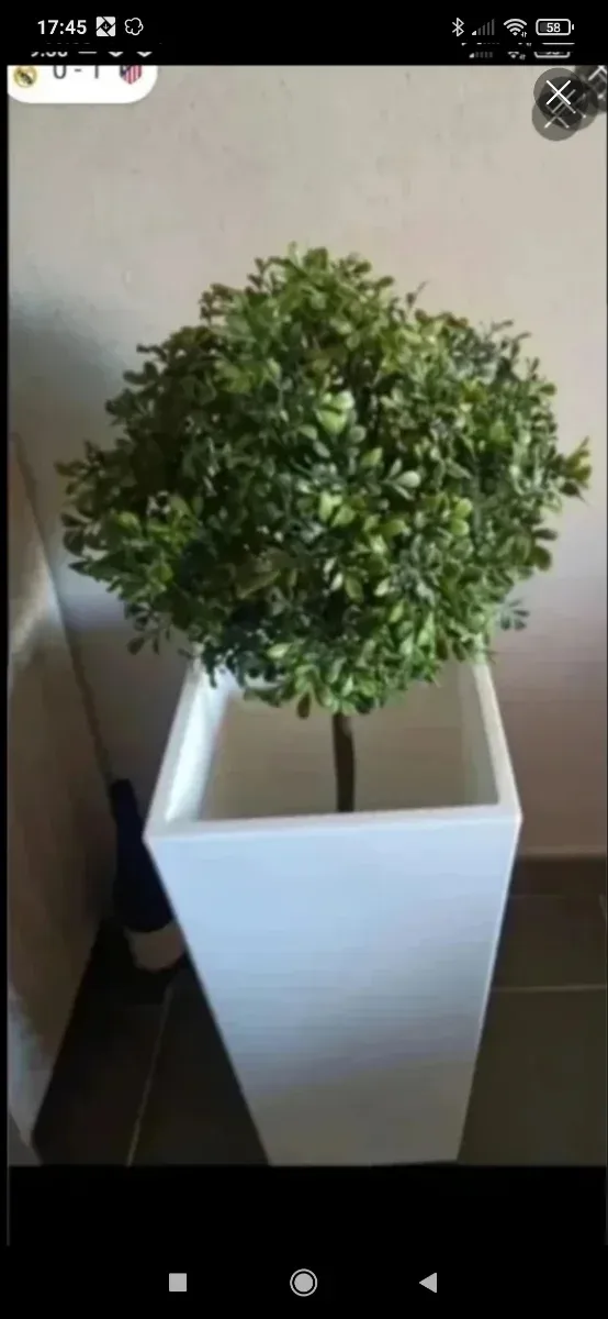 Macetero Diseño Blanco Plástico