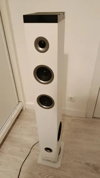 Proyector + pantalla motor 100" + Columna sonido