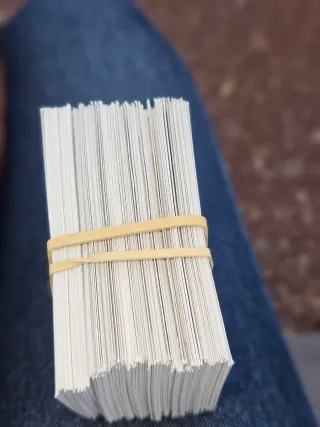 Cromos Panini LaLiga 2025-26