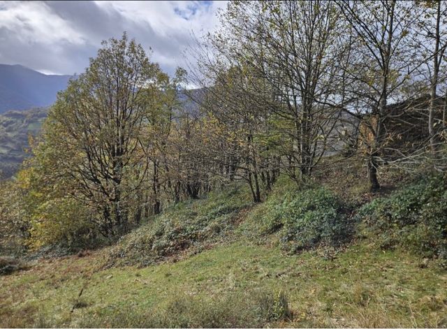 Terreno Rústico en Aller