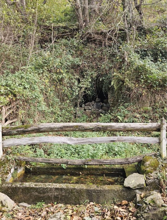 Terreno Rústico en Aller