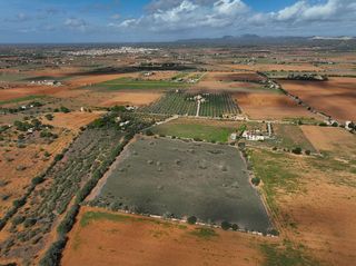 Solar en venta en Campos