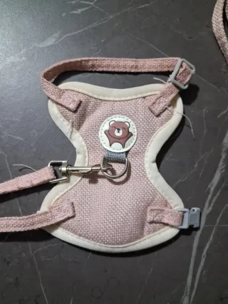 Pettorina per animali