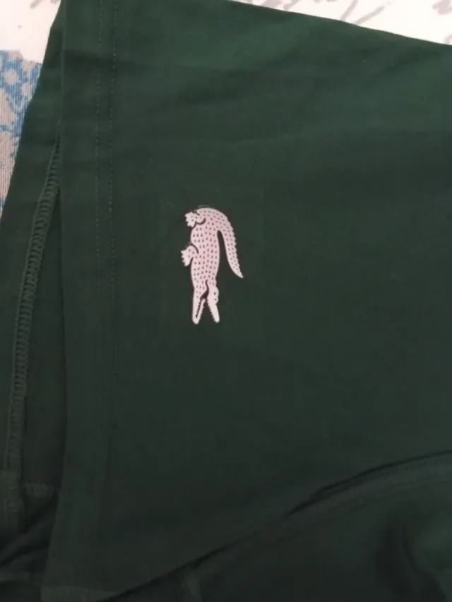 Calzoncillos Lacoste Verdes