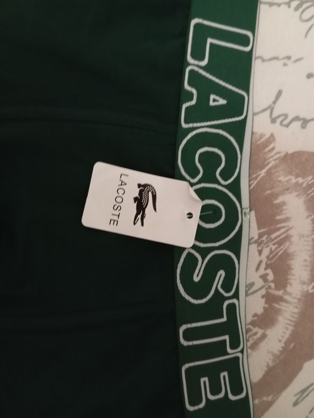 Calzoncillos Lacoste Verdes