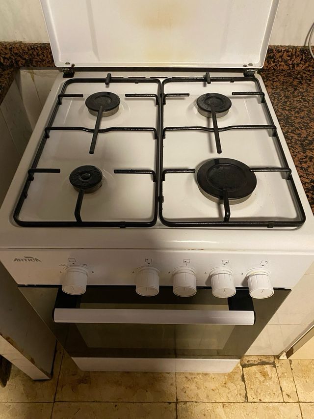 Cocina de gas con horno