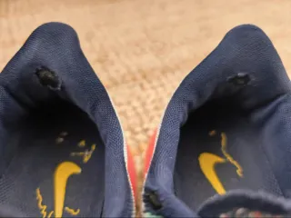 Nike Pegasus Trail Zapatillas Running Goretex