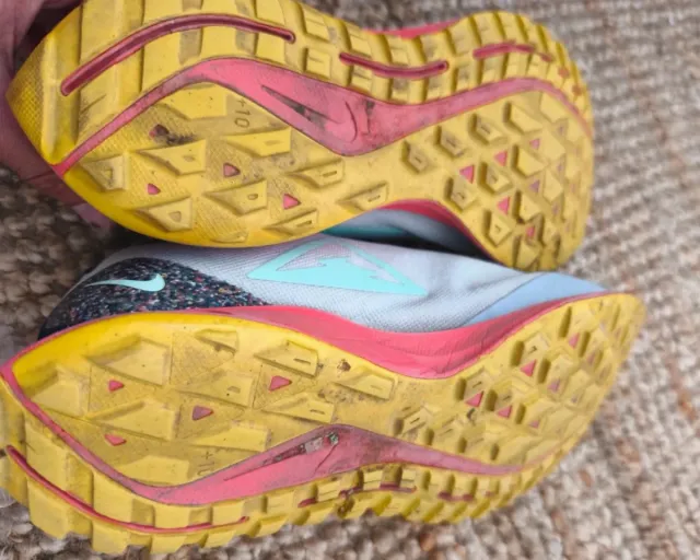 Nike Pegasus Trail Zapatillas Running Goretex