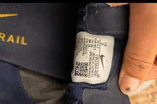 Nike Pegasus Trail Zapatillas Running Goretex