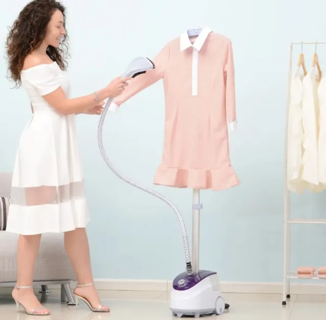 Plancha de vapor vertical