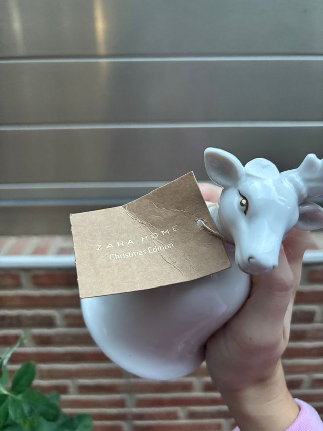  Zara Home