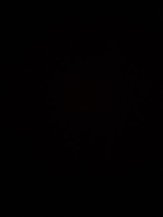 Profesora particular de clases de lenguas/ciencias