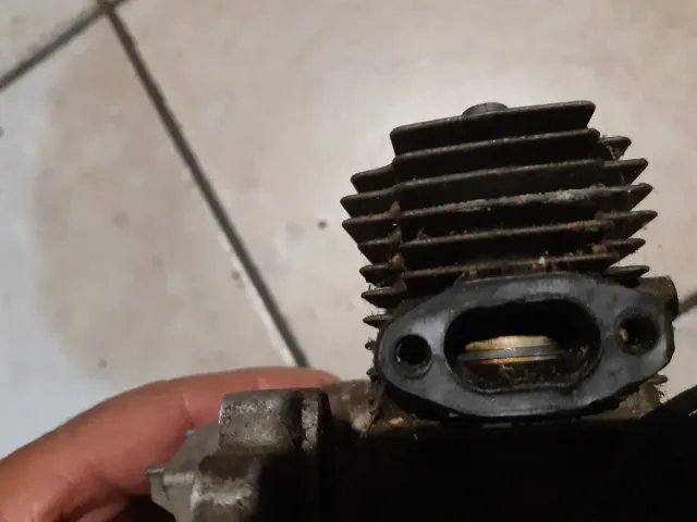 Motore decespugliatore/motosega