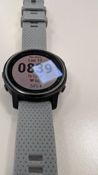 Garmin Fenix 6S Negro/Gris