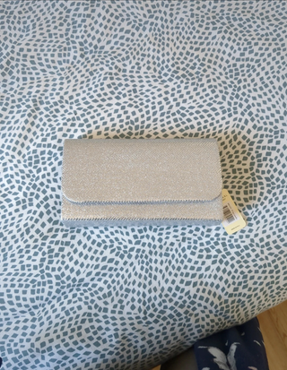 Bolso de fiesta plateado