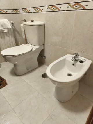 Conjunto de baño: inodoro y bidé