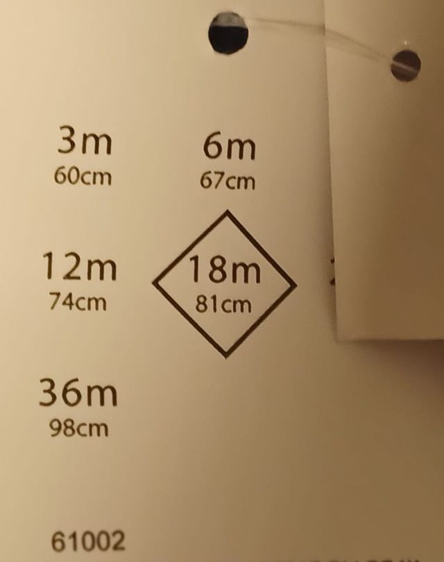 2 T-Shirt Maglioni Girocollo Dolcevita Top Baby