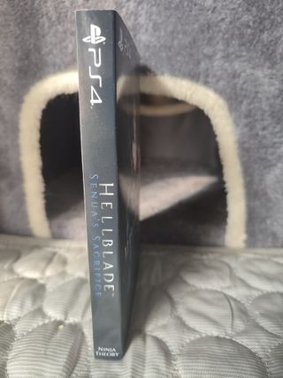 Funda Hellblade: Senua's Sacrifice PS4/Xbox One