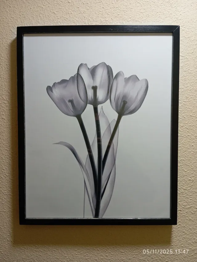 Cuadros de diferentes tipos (10€ cada uno)