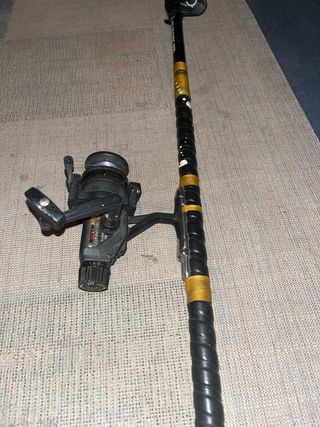 Caña de pescar con carrete
