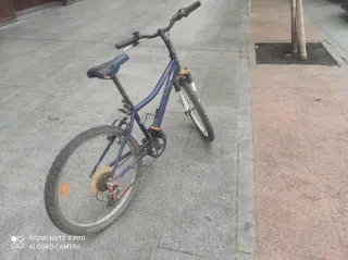 Bicicleta de montaña