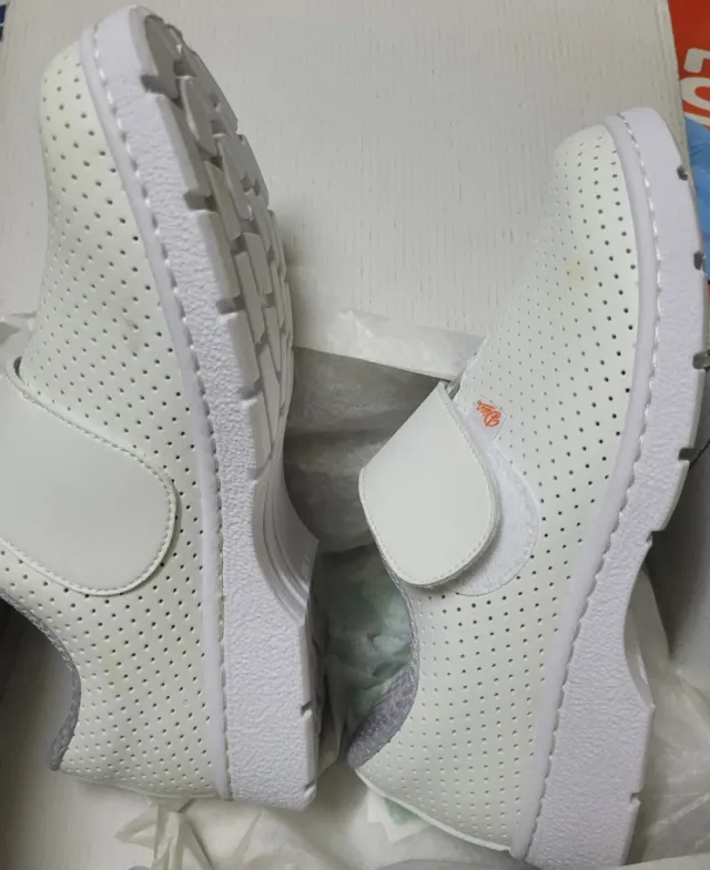 ZUECO PROFESIONAL UNISEX MARCA DIAN.