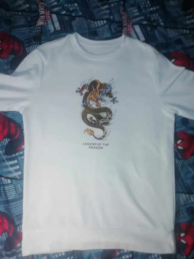 Sudadera con estampado de dragón