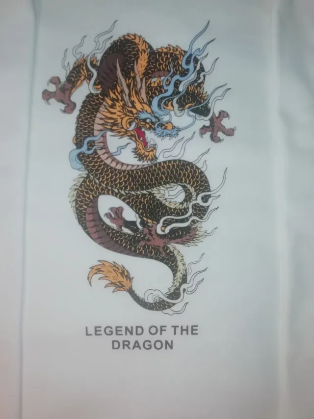 Sudadera con estampado de dragón