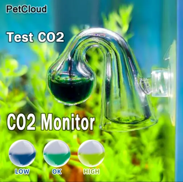 Test CO2 Acuario
