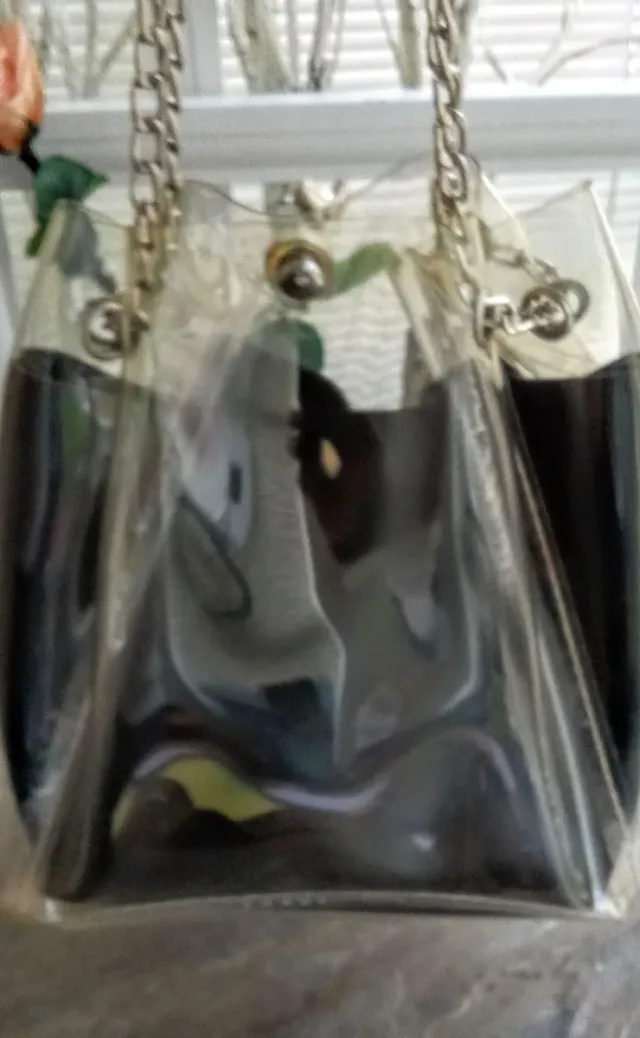 48 h lunes
Bolso transparente mujer 