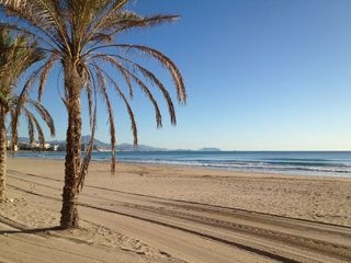 Piso en alquiler en Campello Playa en Campello (el)