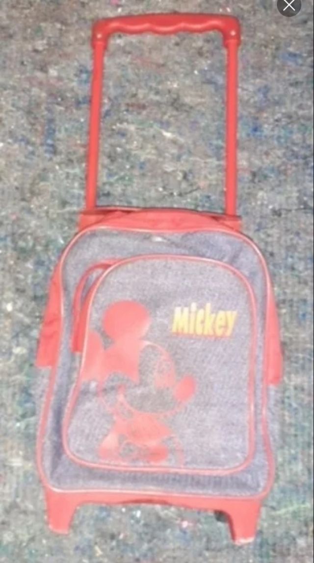 Bolsos de viaje, trolley c/ruedas. Usados.