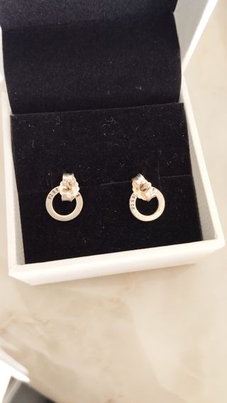 Orecchini Pandora Cerchio Argento