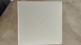 Orecchini Pandora Cerchio Argento