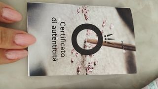 Orecchini Pandora Cerchio Argento