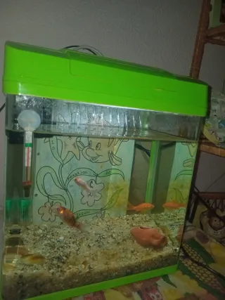 Acuario con peces y accesorios