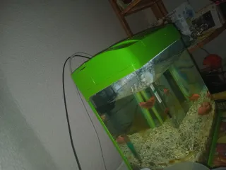 Acuario con peces y accesorios