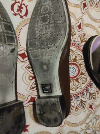 Zapatos Geox Mujer Talla 39 Marrón