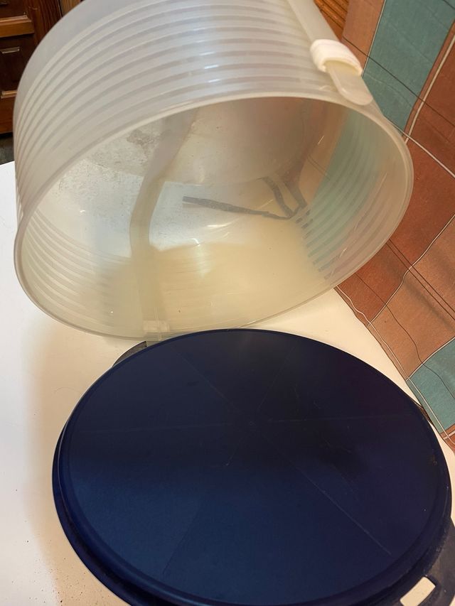 Tupper para tortas azul e transparente