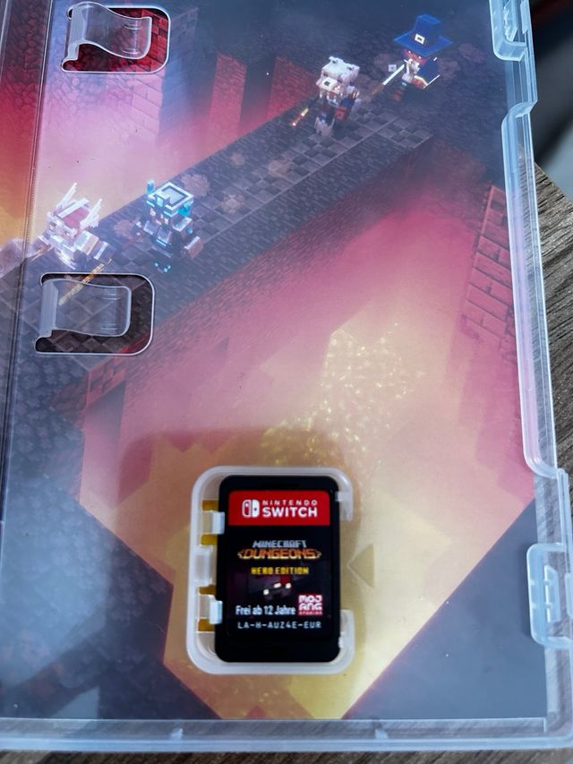 Minecraft Dungeons Hero Edition Nintendo Switch