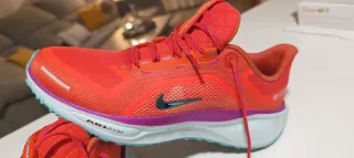 Zapatillas Nike Pegasus 41.GTX Hombre Talla 42