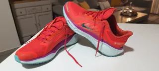 Zapatillas Nike Pegasus 41.GTX Hombre Talla 42