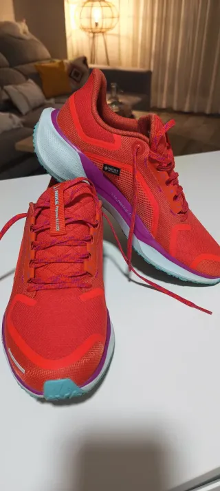 Zapatillas Nike Pegasus 41.GTX Hombre Talla 42