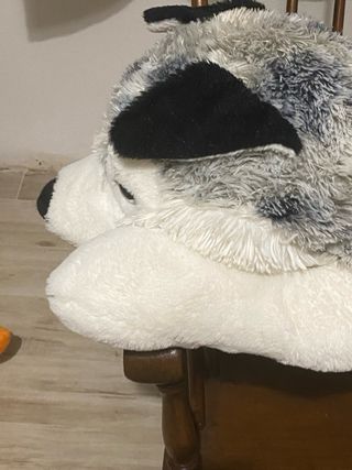 Peluche Lupo Husky