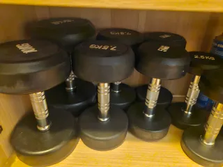 Pesas de gimnasio (varios pesos)