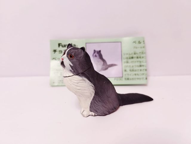 Set 6 gatti Furuta Kaiyodo Choco Egg + ChocoQ