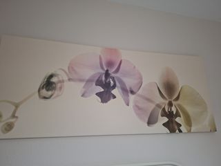 Cuadro Decorativo Flores Orquídeas