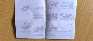 Waspinator Beast Wars Transformers