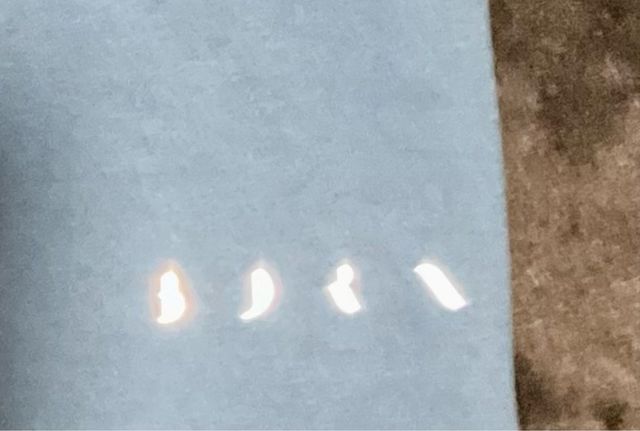 Bermudas Born Living Yoga Talla M