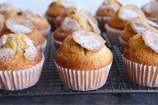 Viajes semanales de Andalucía a Barcelona.